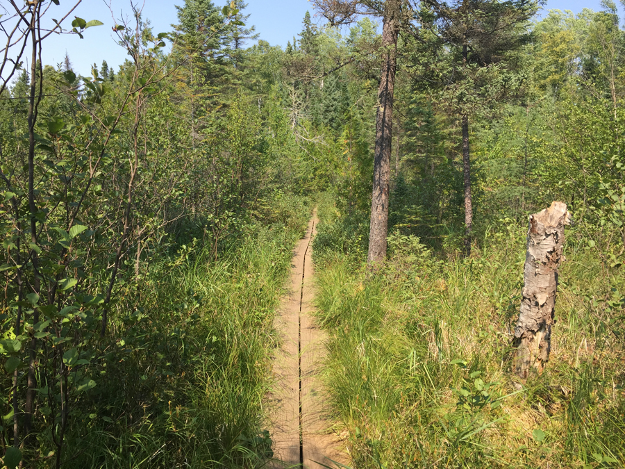 Eagle Mountain Trail